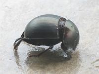 Kenya 139